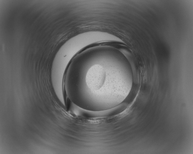 X0000052640190200507011356