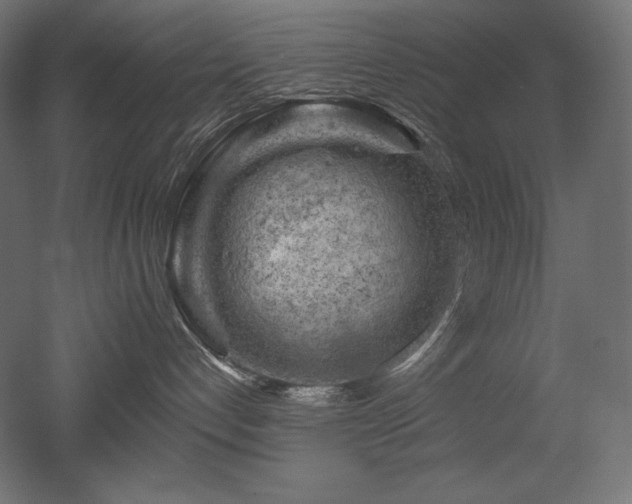 X0000052640192200507011356