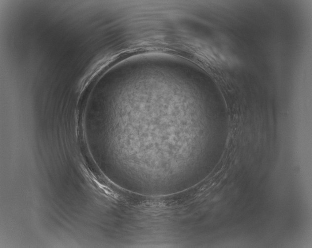 X0000052640194200507011355