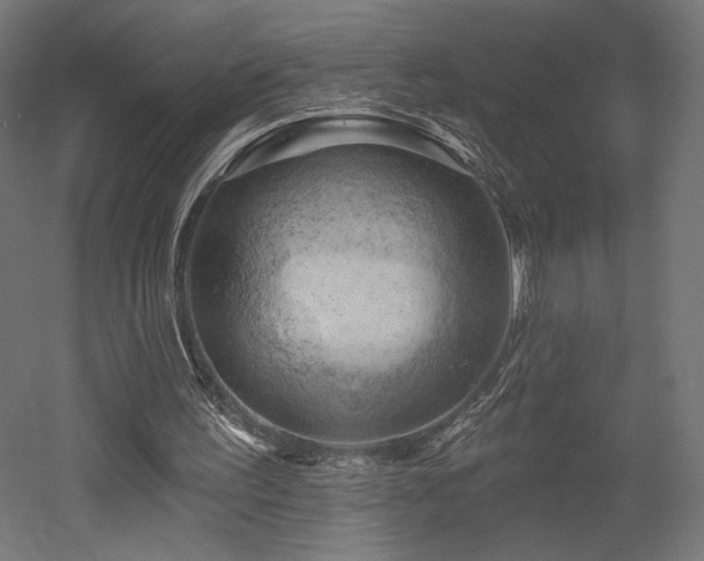 X0000052640195200507011355