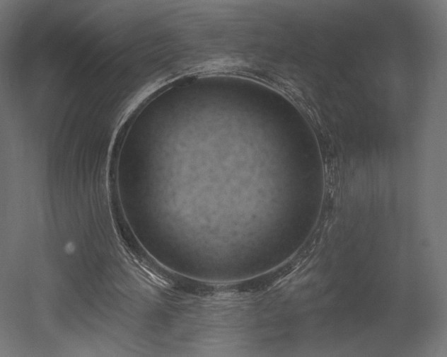 X0000052640196200507011355