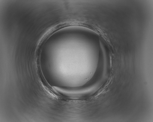 X0000052640197200507011355