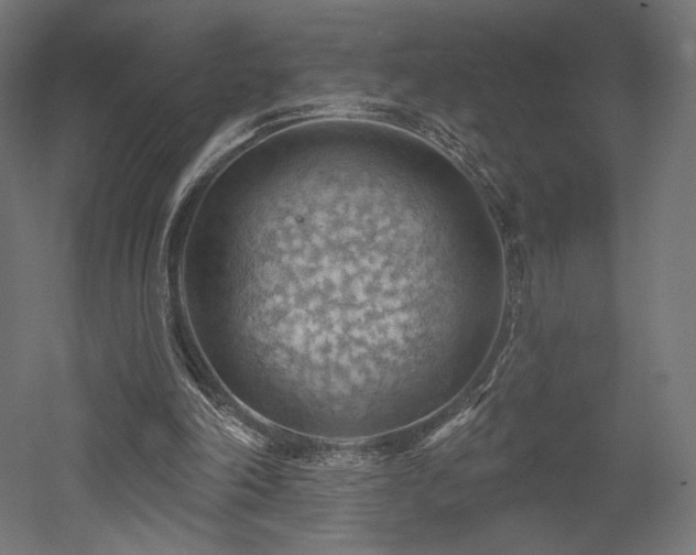 X0000052640198200507011355