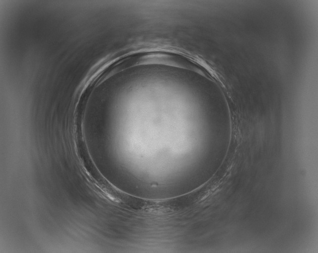 X0000052640199200507011355