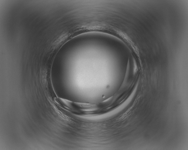 X0000052640201200507011355