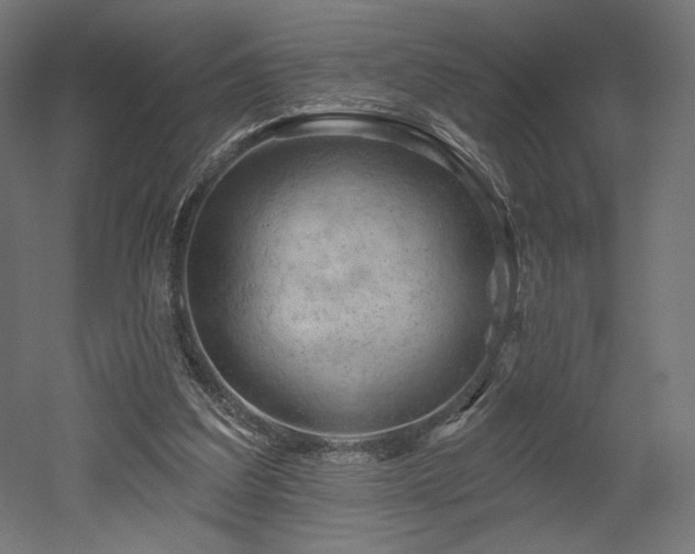 X0000052640203200507011355