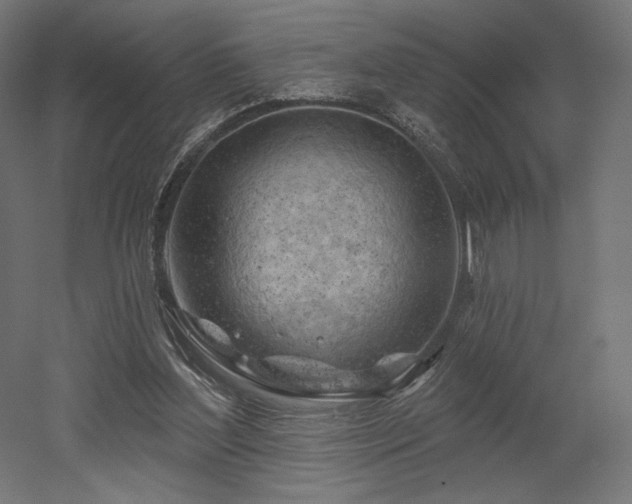 X0000052640204200507011355