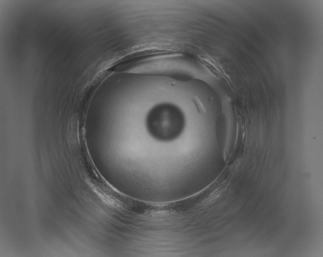 X0000052640205200507011355