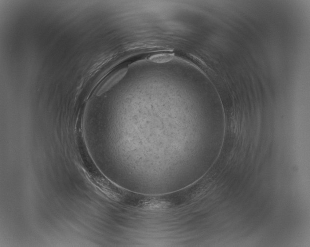 X0000052640206200507011355