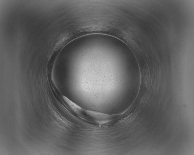 X0000052640207200507011355