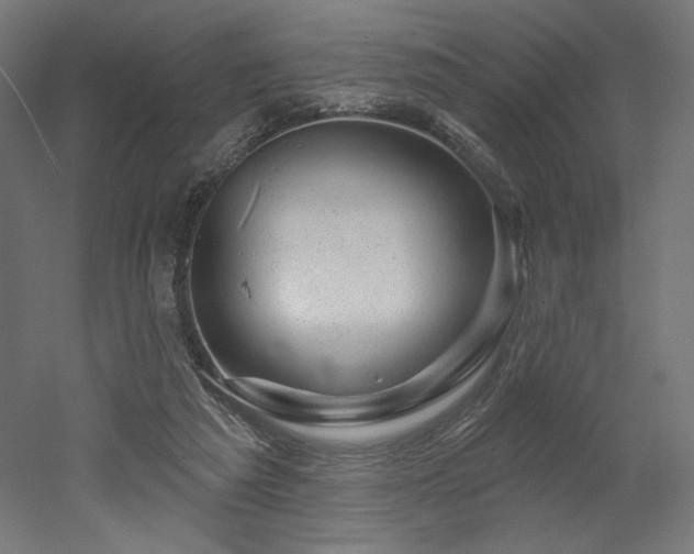 X0000052640209200507011355