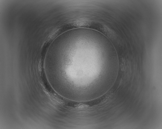 X0000052640210200507011355