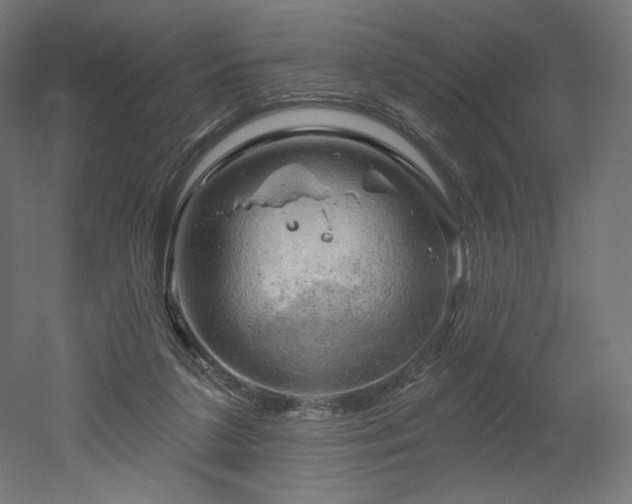 X0000052640211200507011355