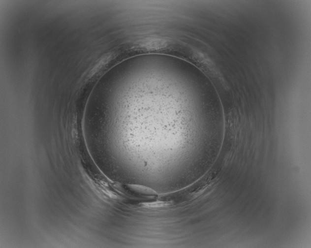 X0000052640212200507011355