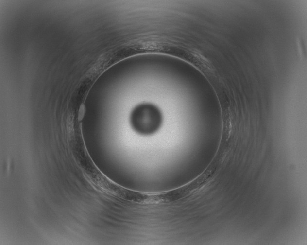 X0000052640213200507011355