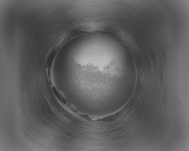 X0000052640214200507011355