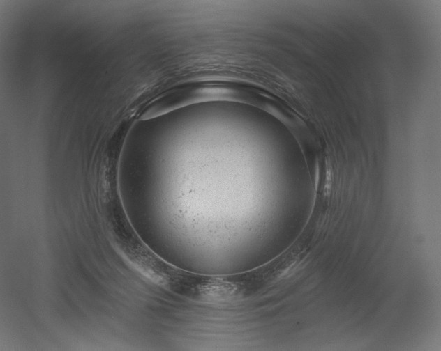 X0000052640215200507011355