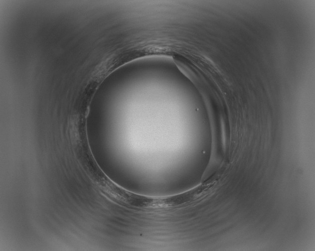 X0000052640217200507011355