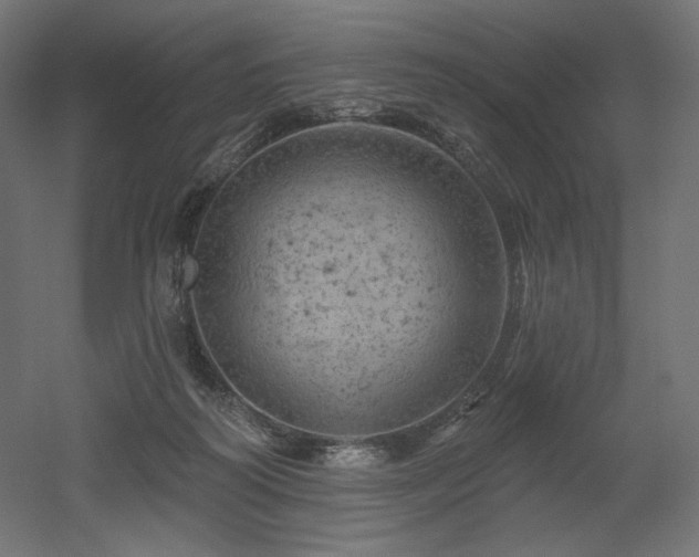 X0000052640218200507011355