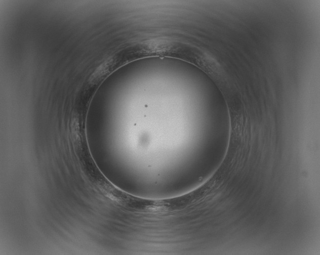 X0000052640220200507011355