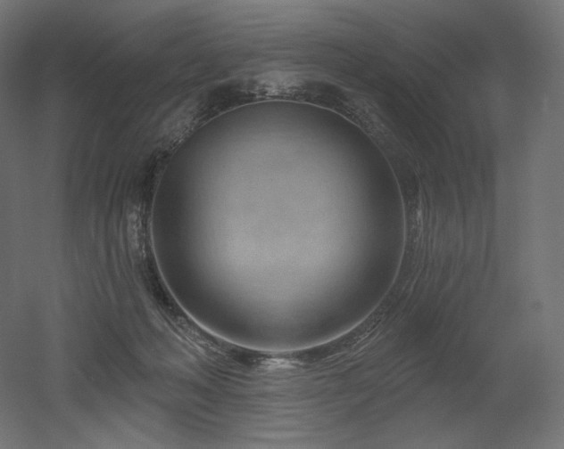 X0000052640222200507011355