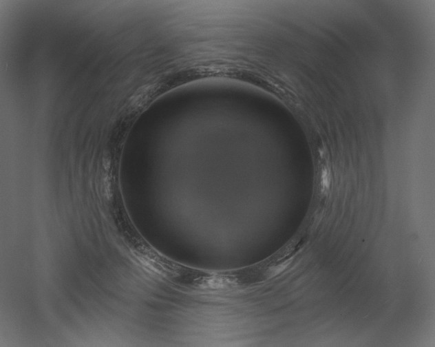 X0000052640223200507011355