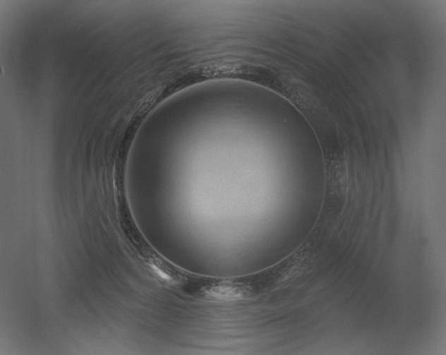 X0000052640224200507011354