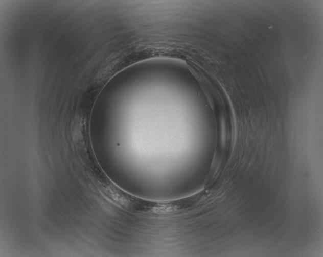 X0000052640225200507011354