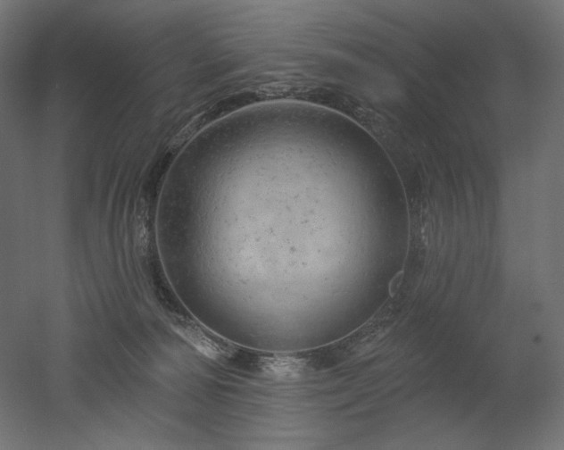 X0000052640226200507011354