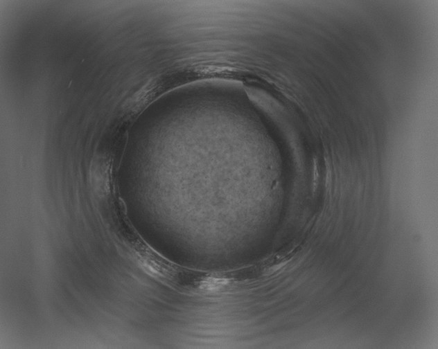 X0000052640227200507011354