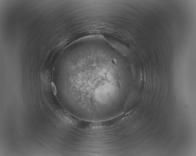 X0000052640228200507011354