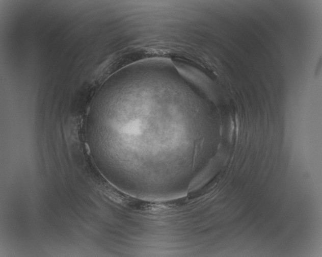 X0000052640229200507011354