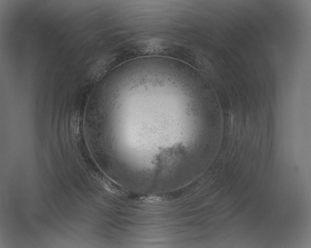 X0000052640230200507011354