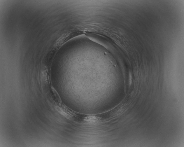 X0000052640231200507011354