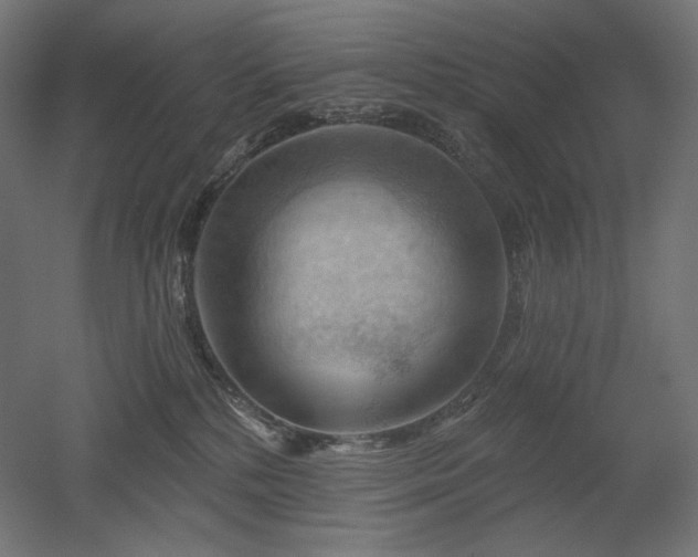 X0000052640232200507011354