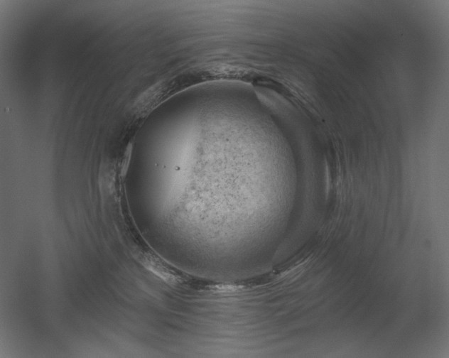 X0000052640233200507011354