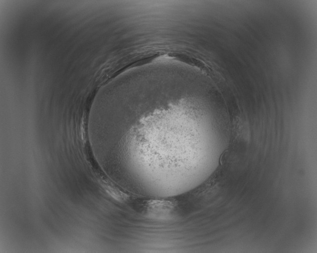 X0000052640234200507011354