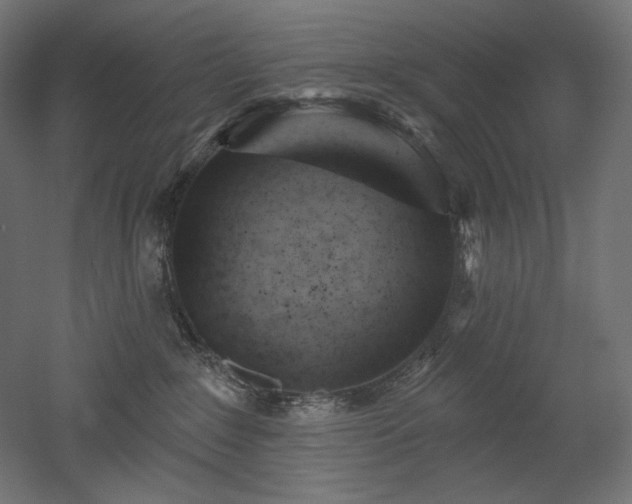 X0000052640235200507011354