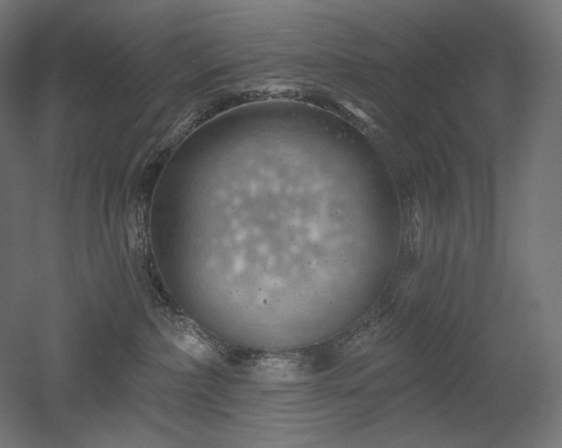 X0000052640236200507011354