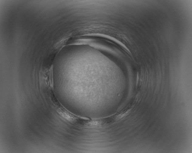 X0000052640237200507011354