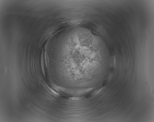 X0000052640238200507011354