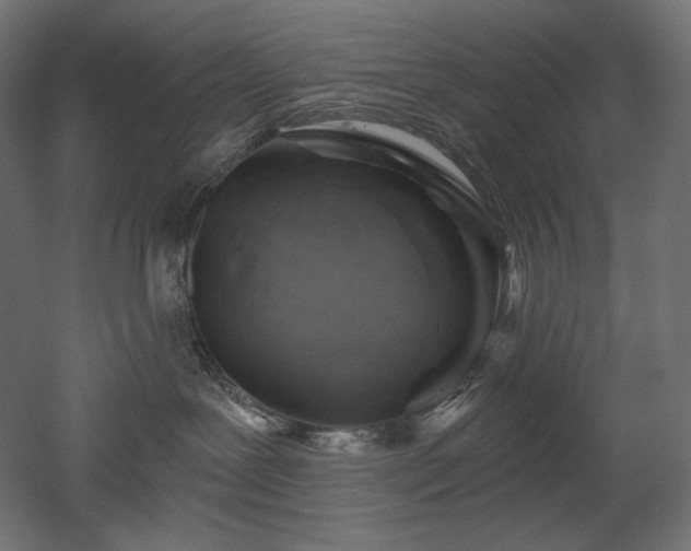 X0000052640239200507011354