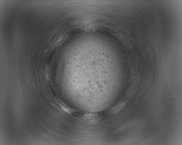 X0000052640240200507011354