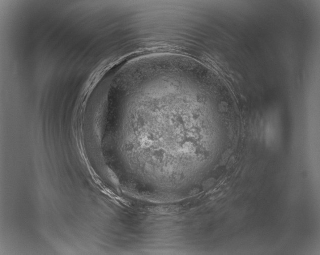 X0000052640241200507011353