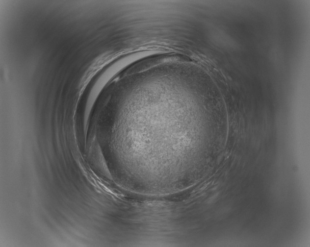 X0000052640242200507011353