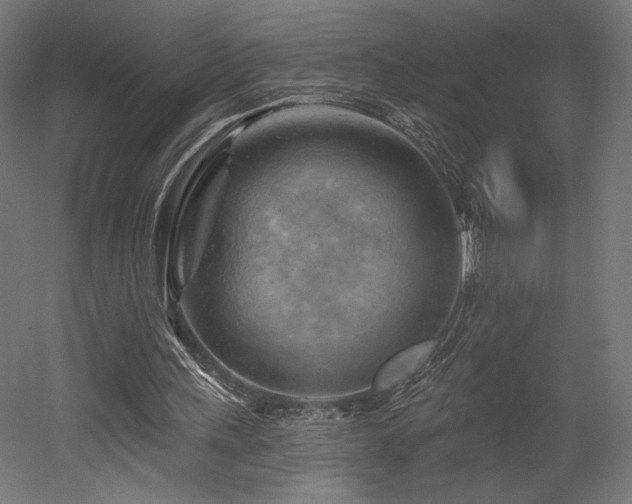 X0000052640243200507011353