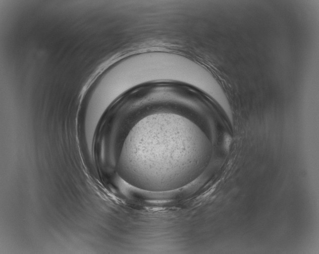 X0000052640244200507011353