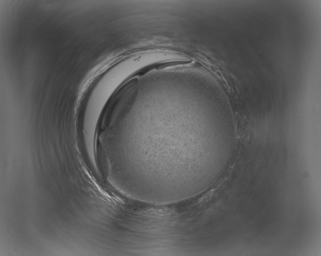 X0000052640245200507011353