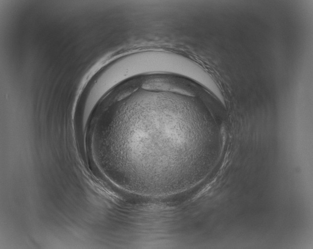 X0000052640246200507011353