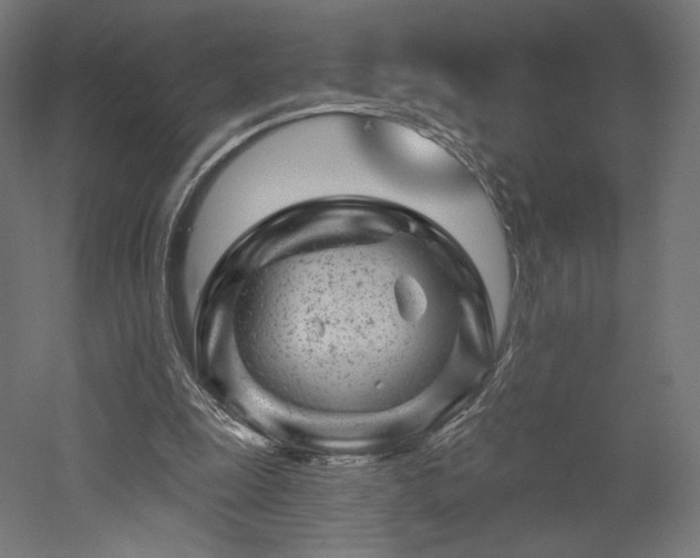 X0000052640247200507011354